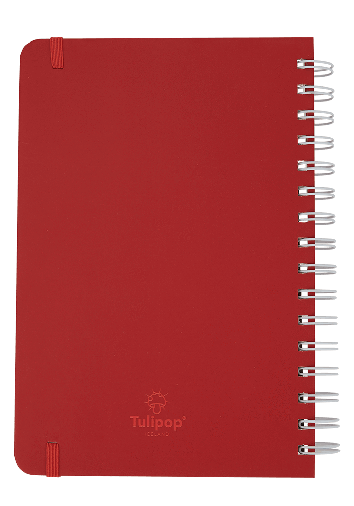 Bubble notebook back